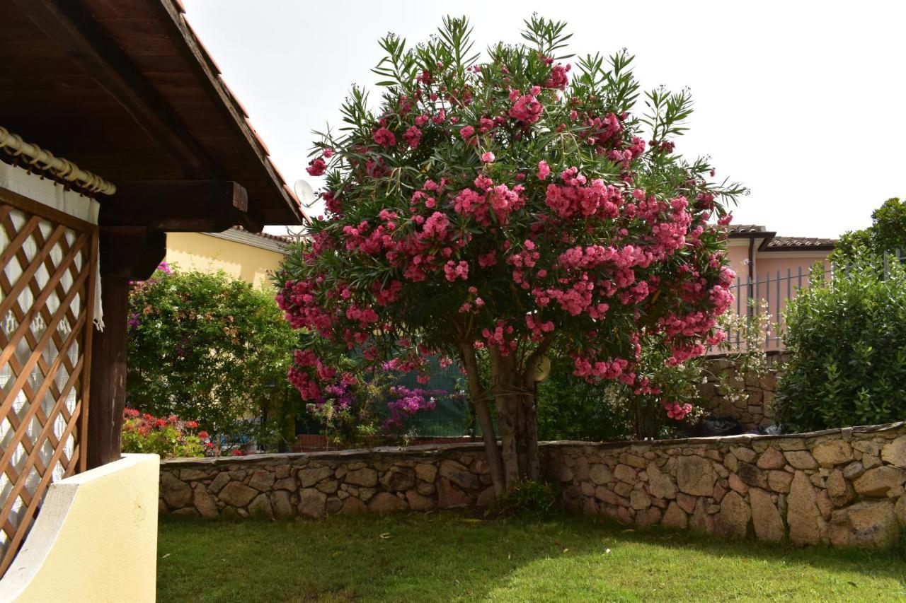 Splendida Villetta Tavolara 1 Vaccileddi ภายนอก รูปภาพ